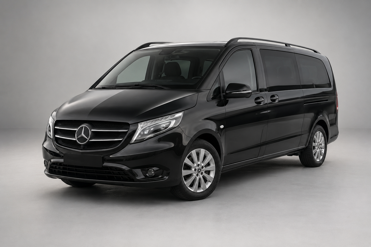 Private Minivan